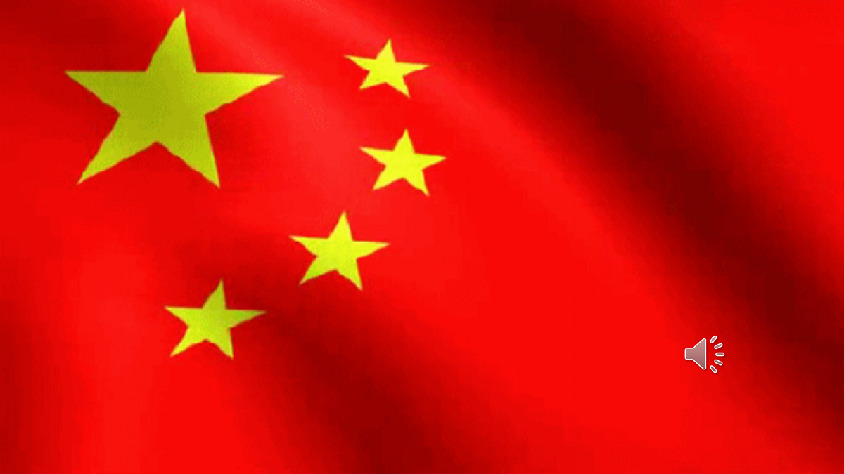 18256169第2页