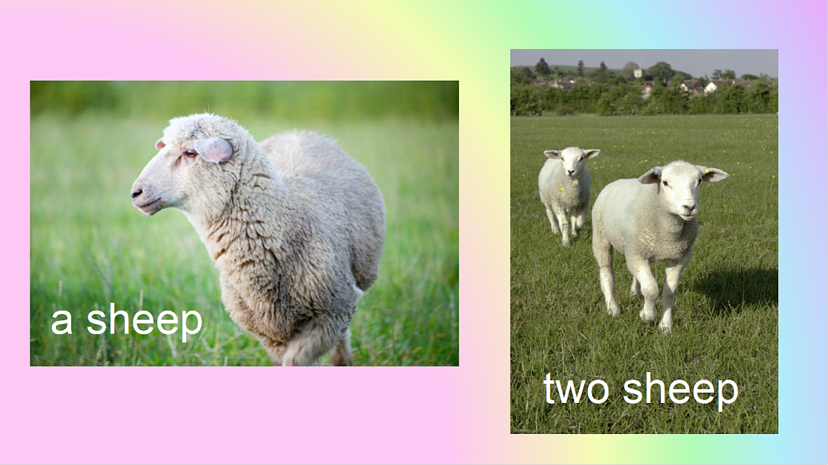 人教版七年级上册英语Starter Unit 3 Welcome SECTION B My uncle’s farm  Reading  class课件PPT第4页