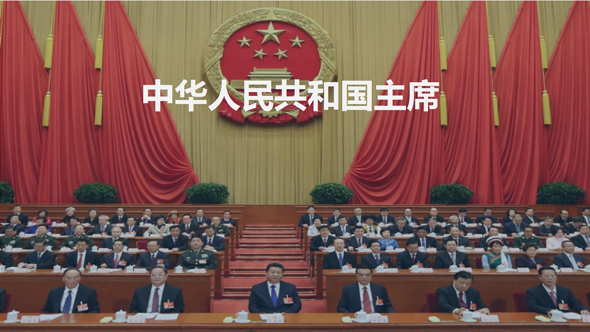 18256275第2页
