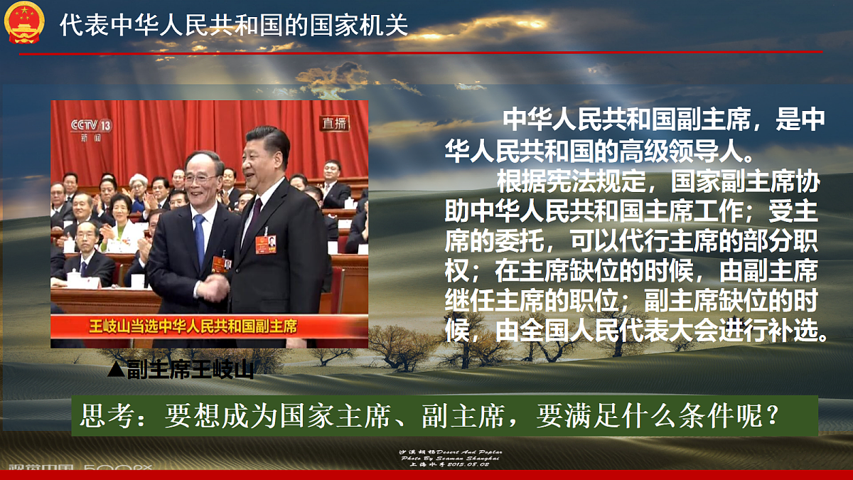 18256275第7页
