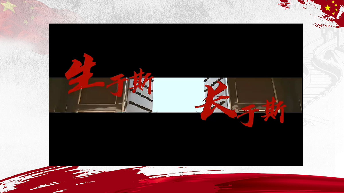 18256311第3页