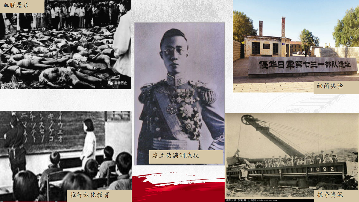 18256311第4页