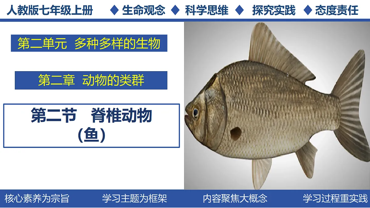 18256602第1页
