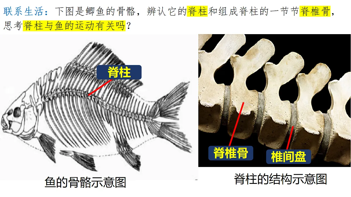 18256602第2页