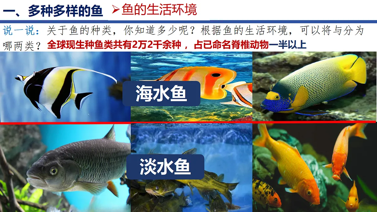 18256602第3页