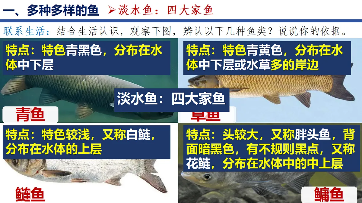 18256602第4页