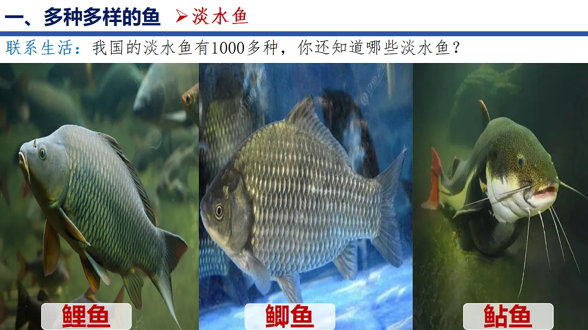 18256602第5页