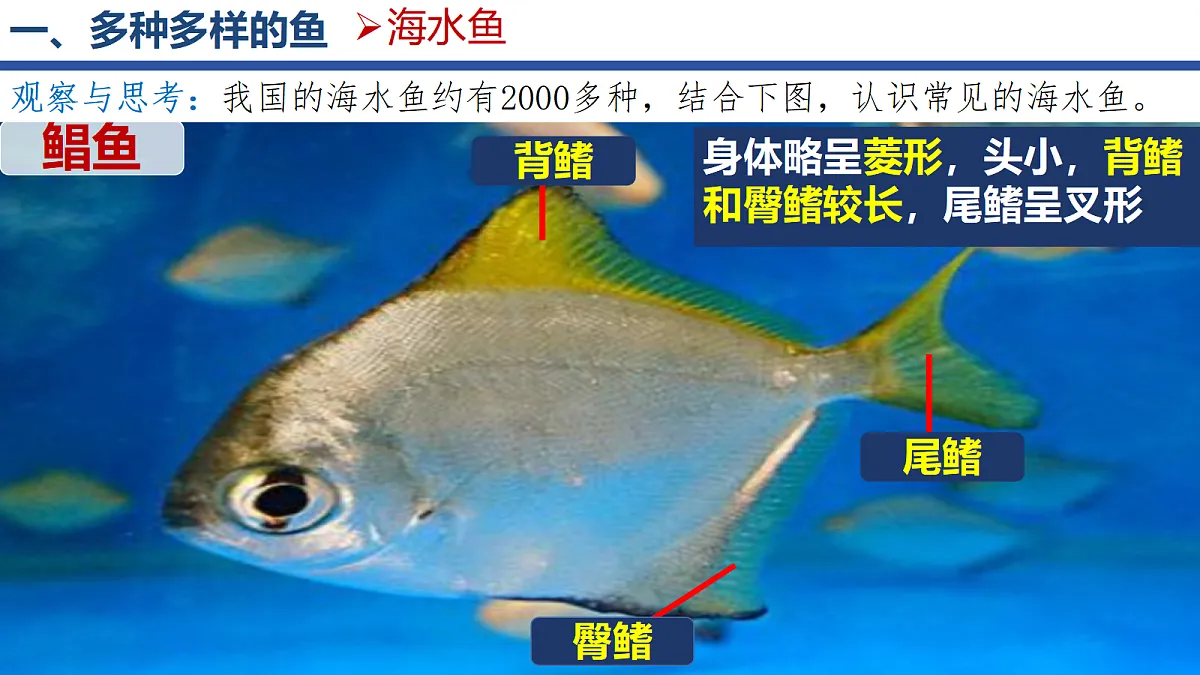18256602第6页