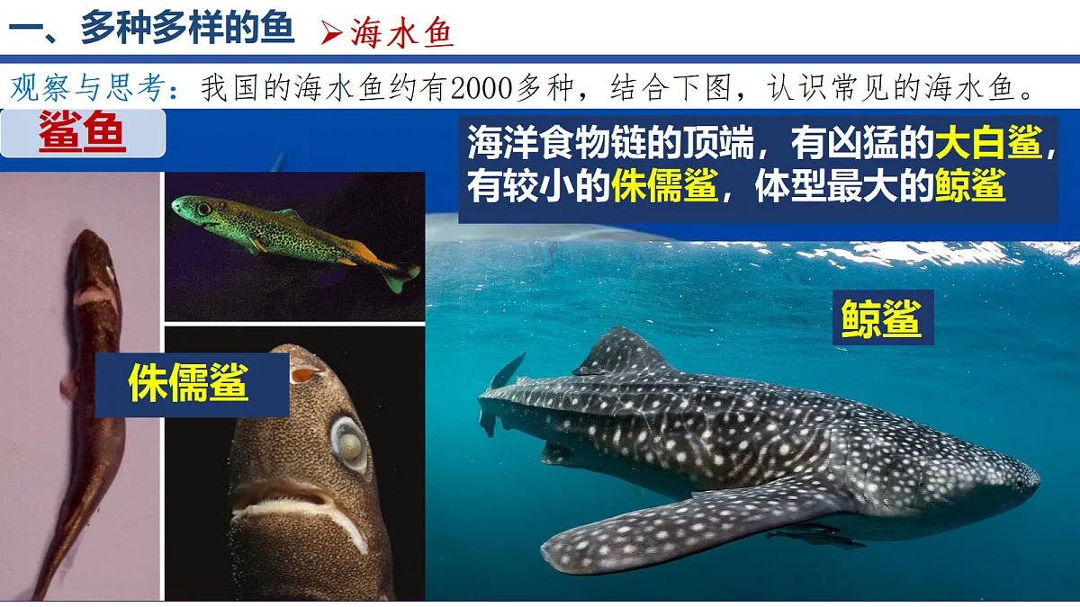 18256602第7页