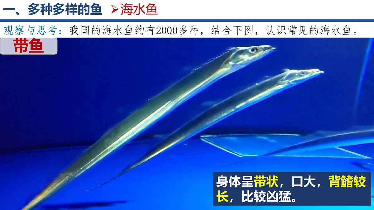 18256602第8页