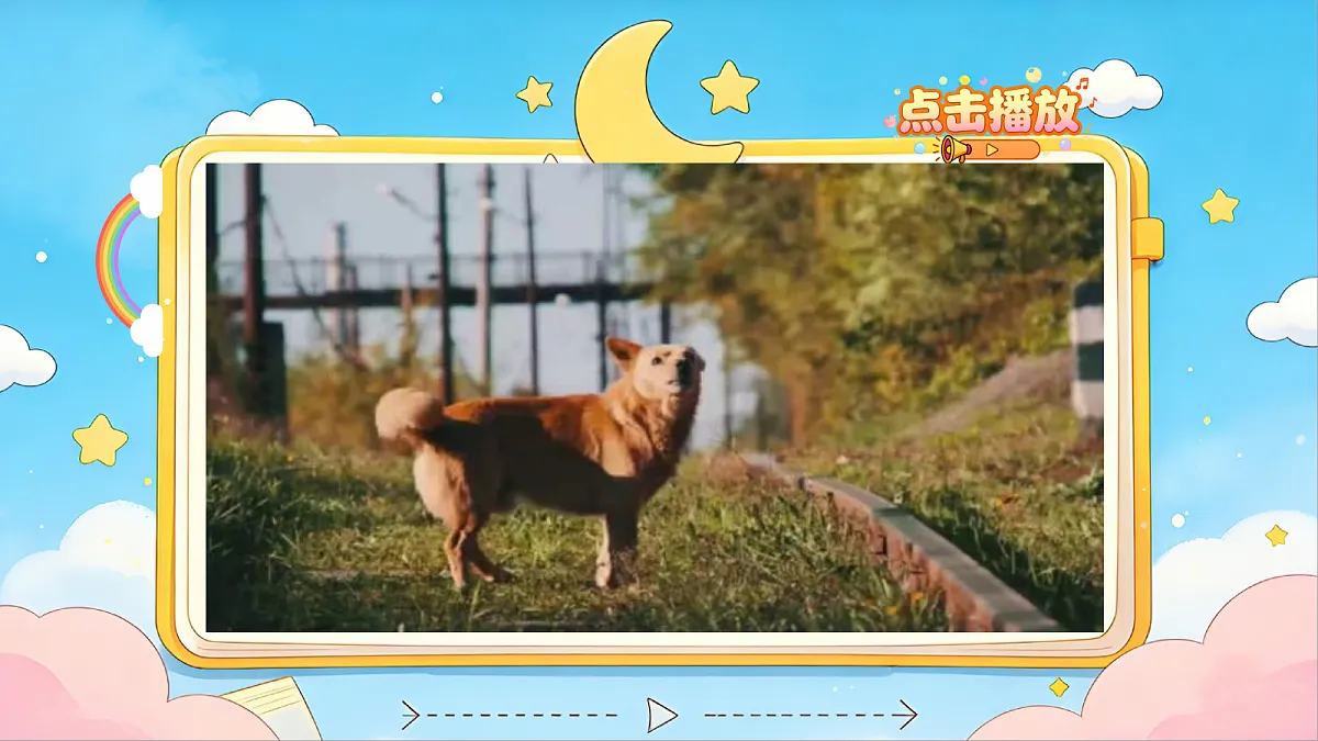 18257375第2页