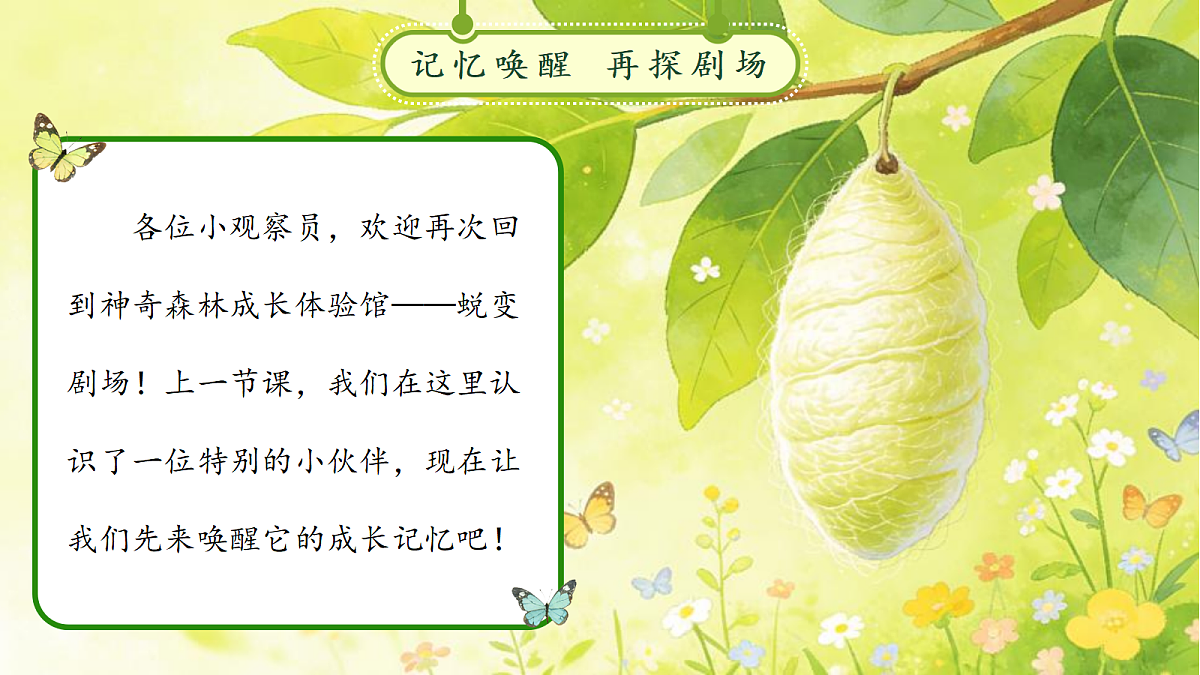 18257538第2页