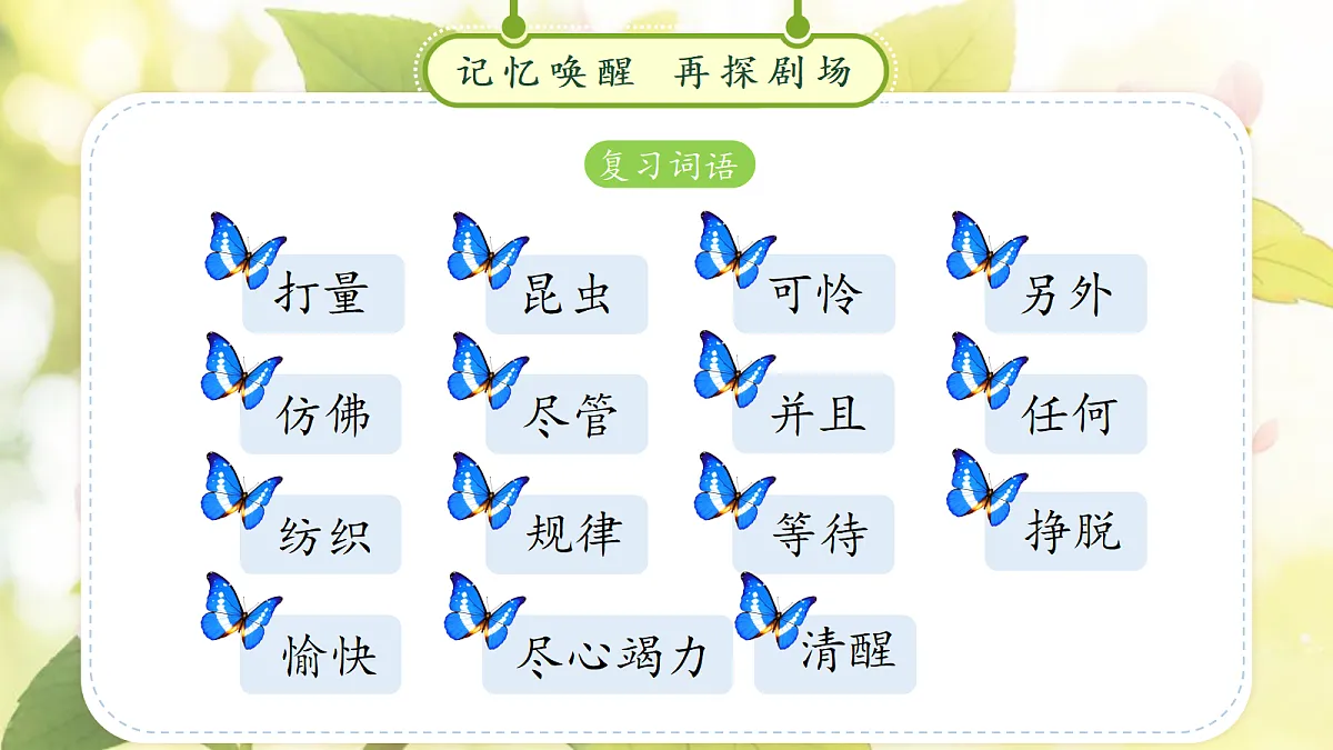 18257538第3页