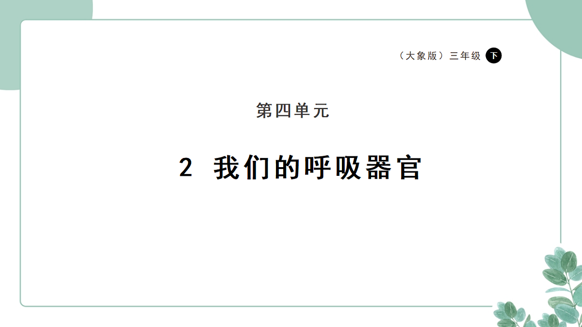 大象版（2024）科学三年级下册4.2《我们的呼吸器官》课时课件+素材第1页