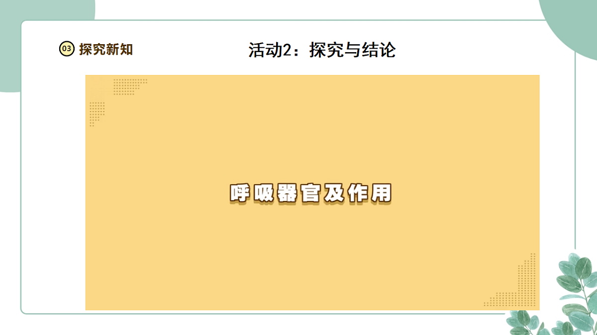 大象版（2024）科学三年级下册4.2《我们的呼吸器官》课时课件+素材第7页