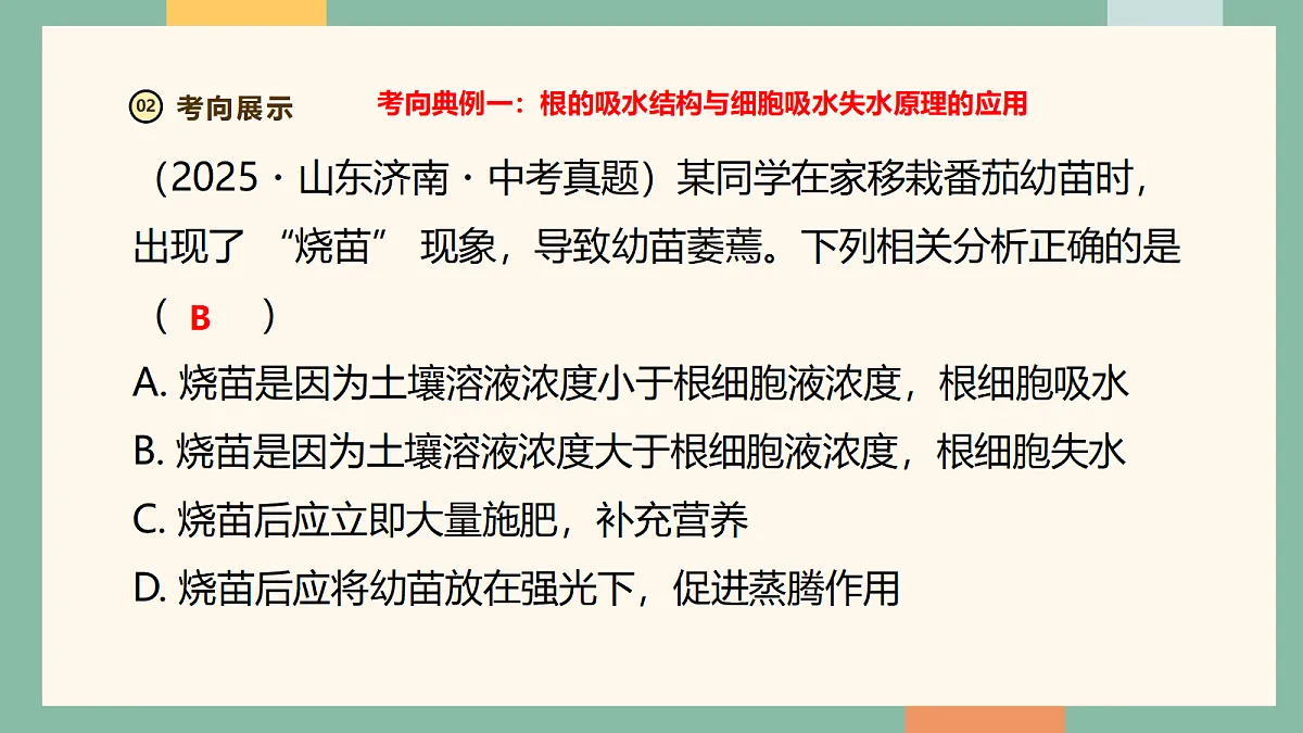 18258422第6页