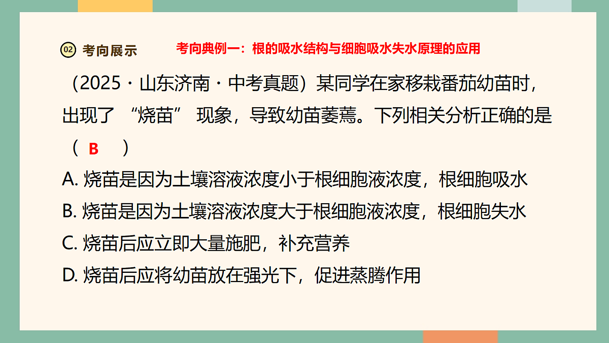 18258422第6页