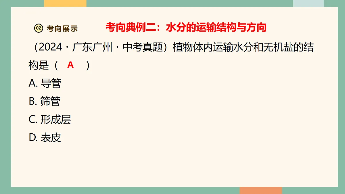 18258422第8页