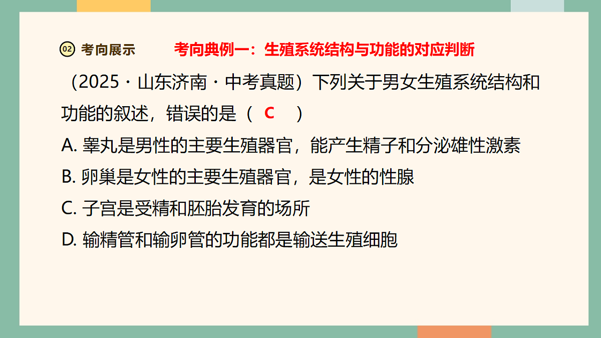 18258424第6页