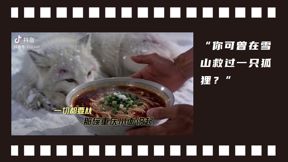 18258519第2页