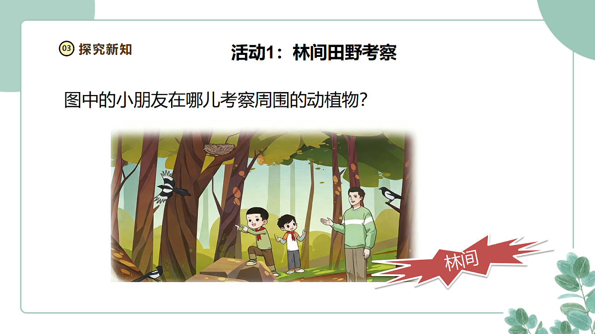 18258776第6页