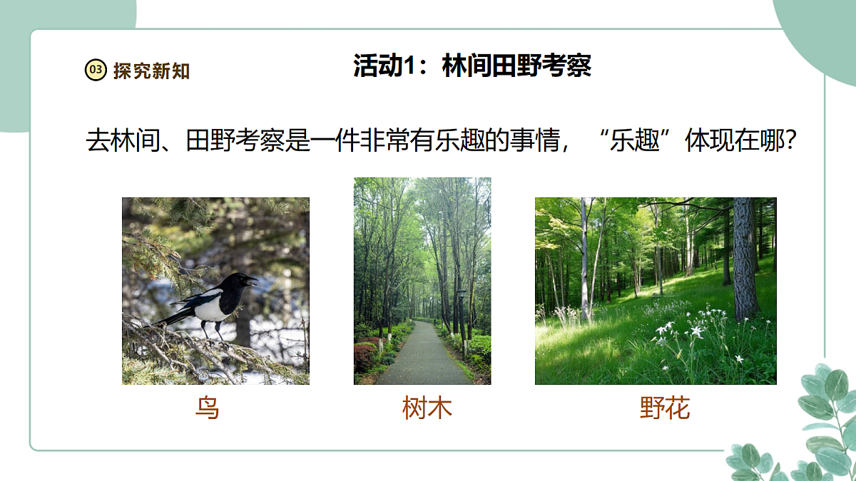 18258776第7页