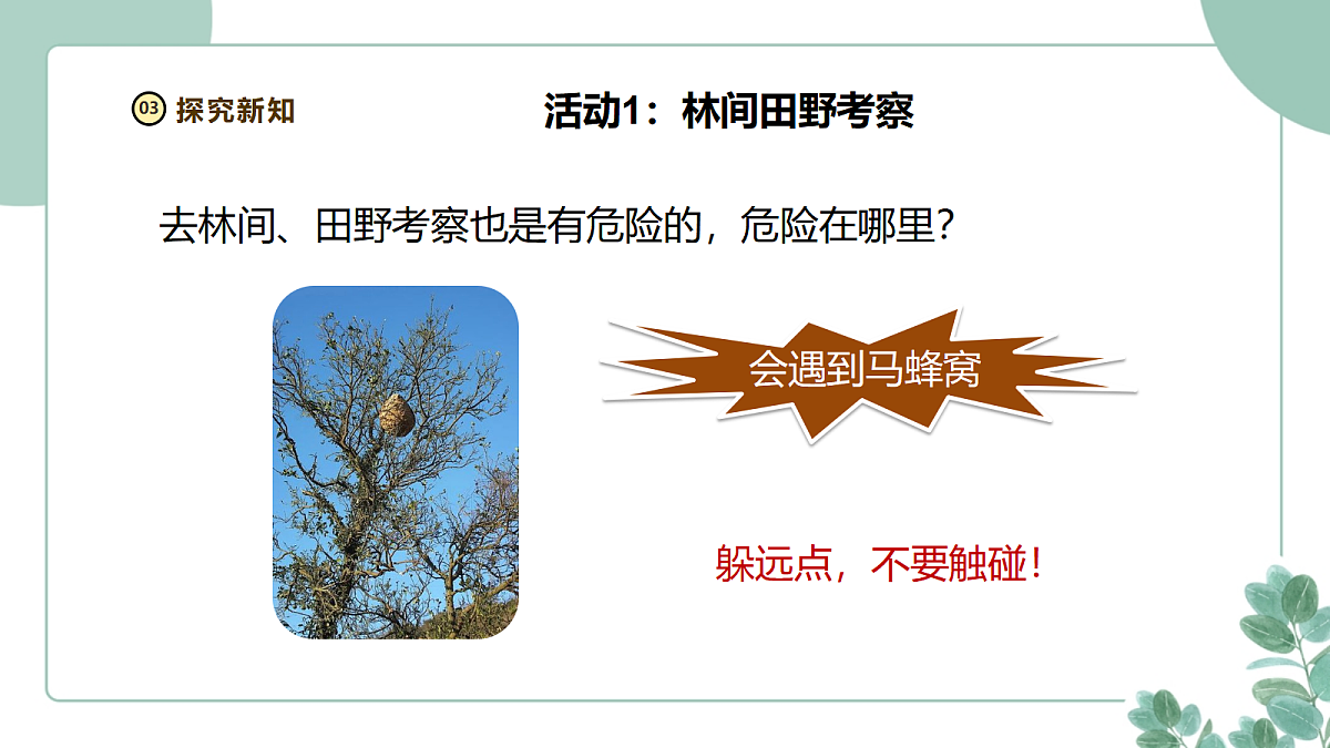 18258776第8页