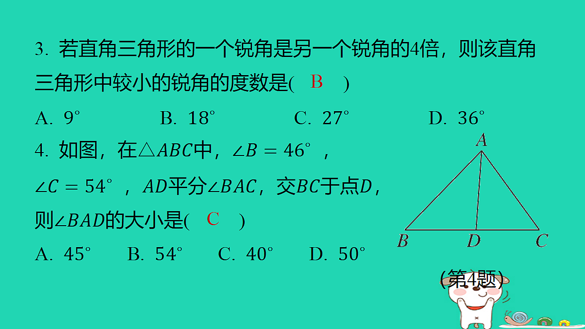 18259436第3页