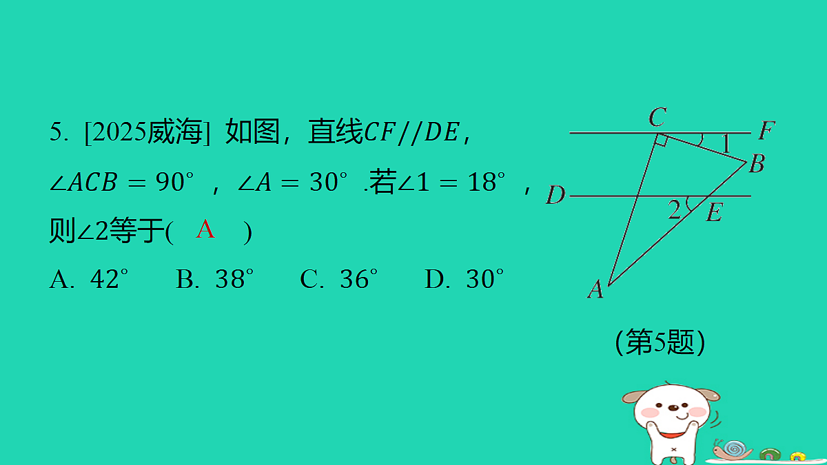 18259436第4页