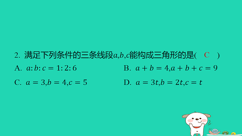 18259502第3页