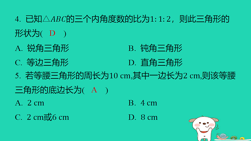 18259502第5页