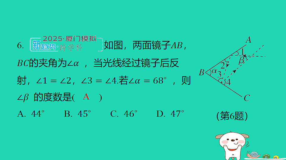 18259502第6页