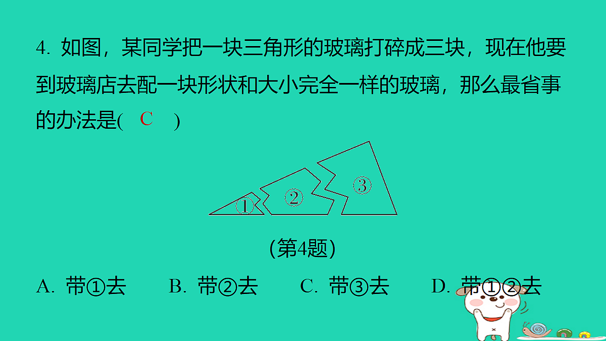 18259504第5页