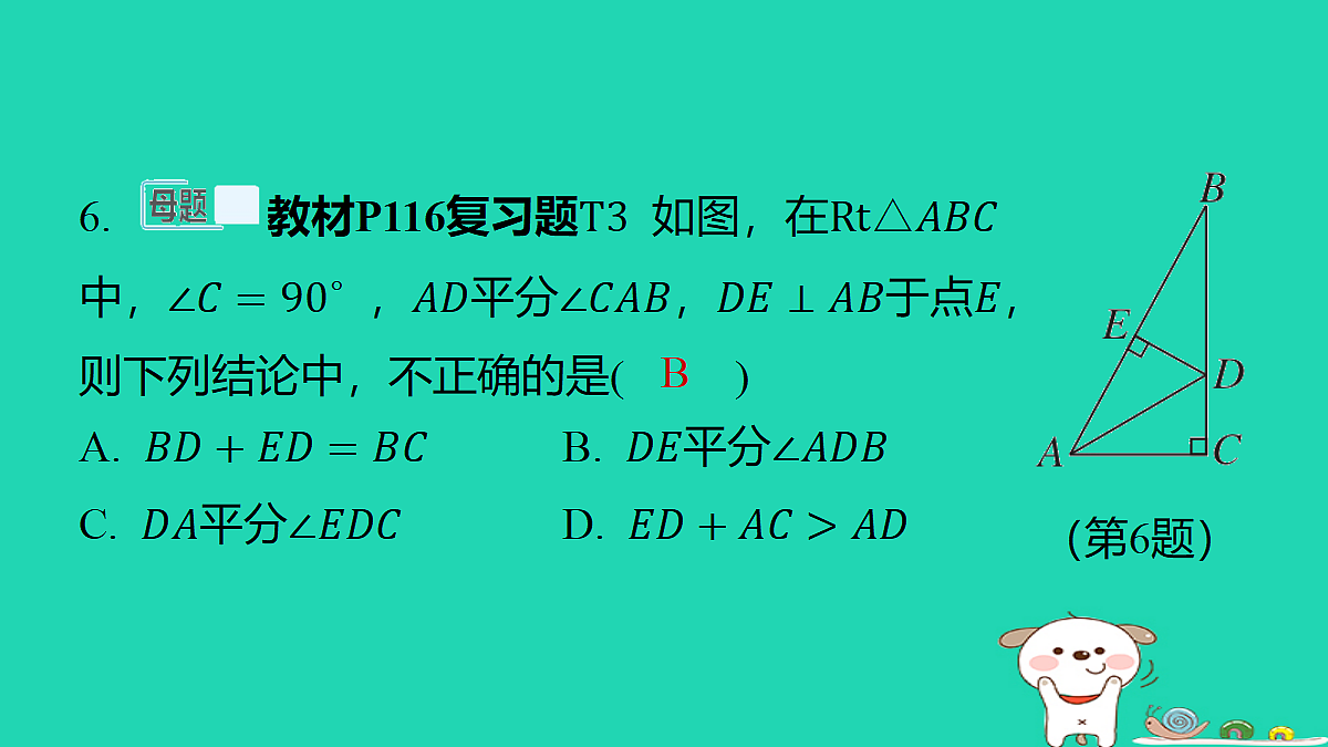 18259504第7页