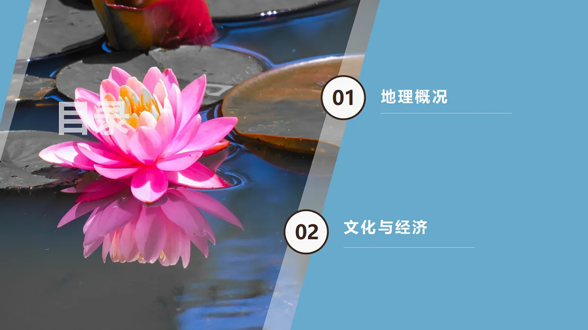 18259795第4页