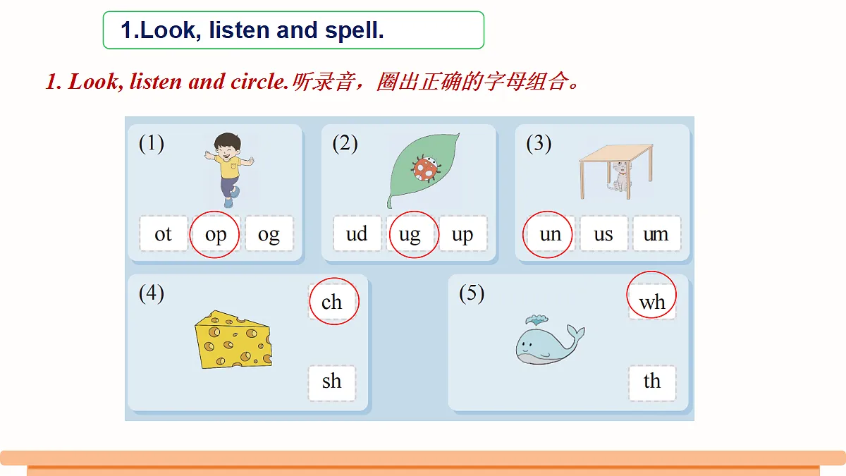 18260484第6页