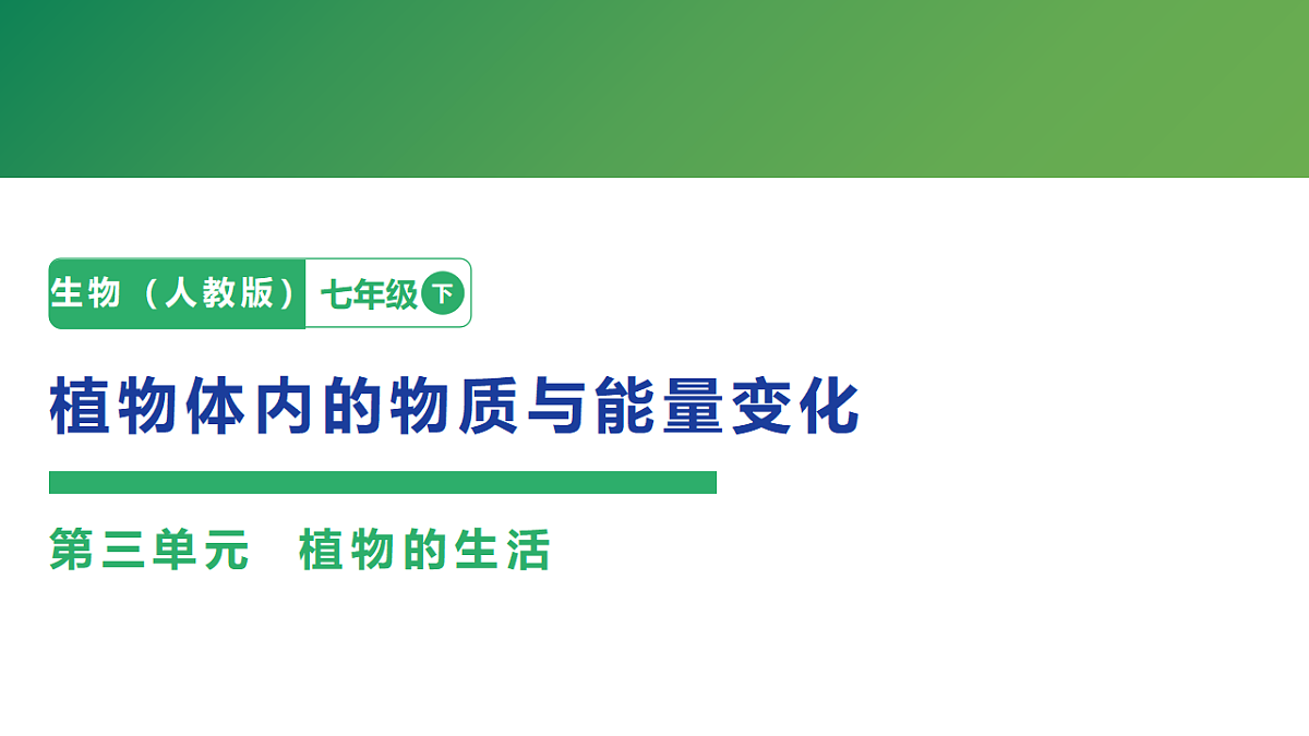 18262362第1页