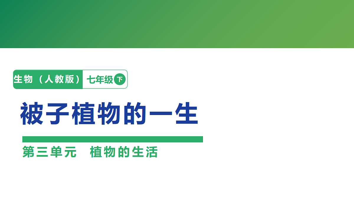 18262376第1页