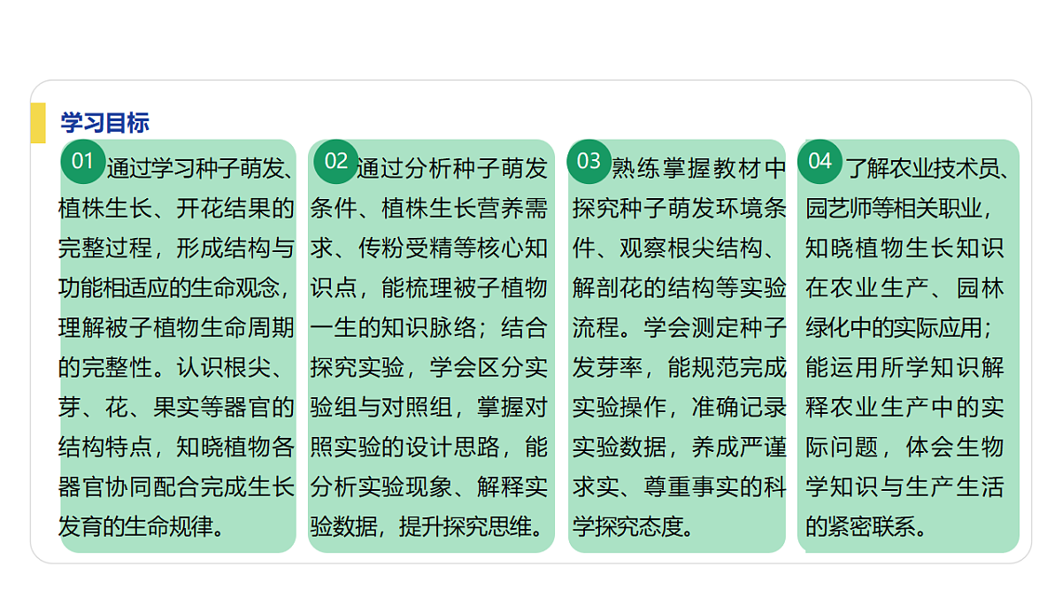 18262376第3页