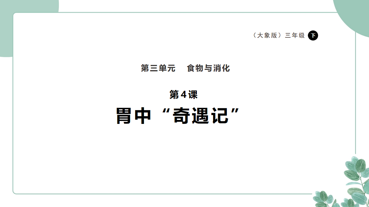 18262389第1页