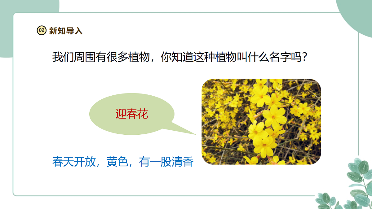 18262390第4页