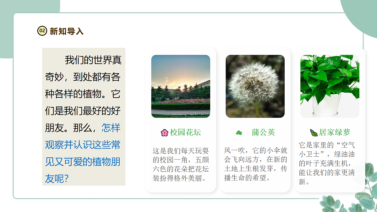 18262390第6页