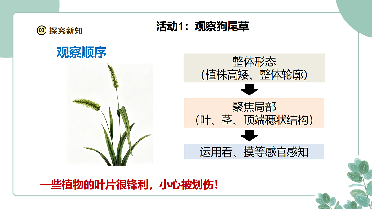 18262390第7页