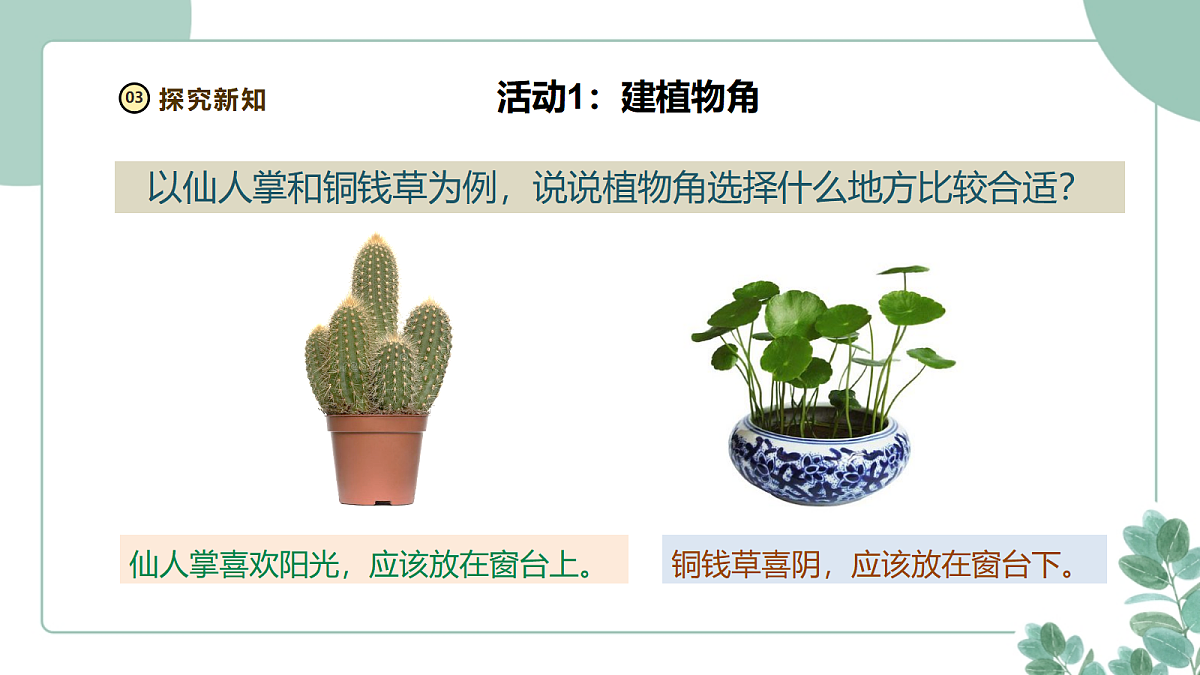 18262391第5页