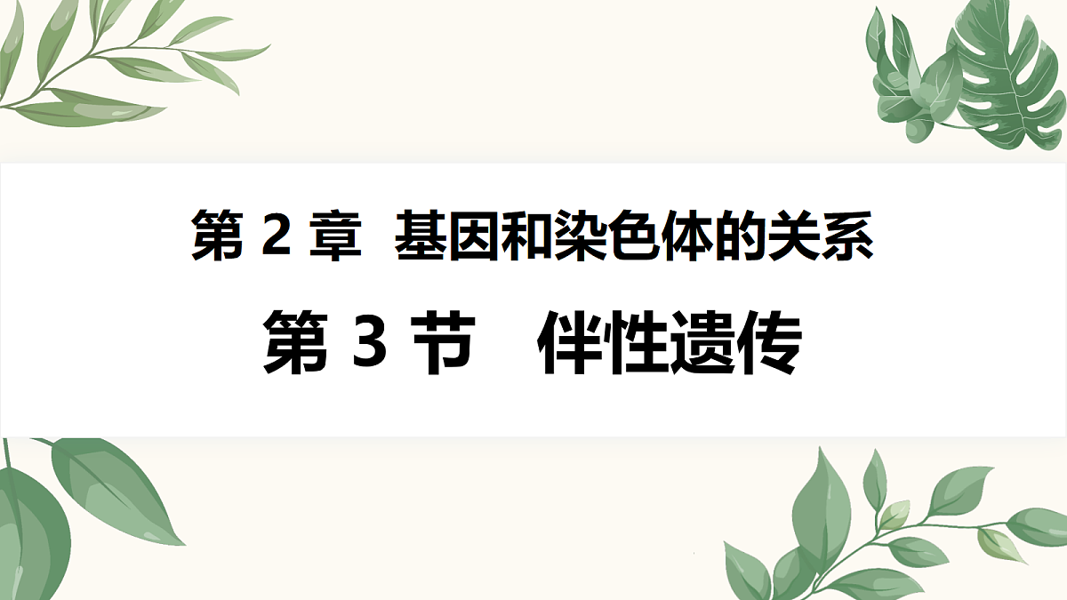 18262438第1页