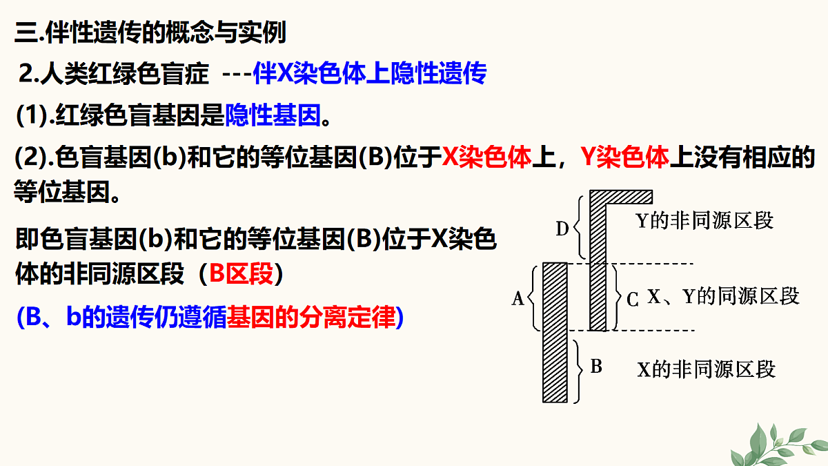 18262439第7页