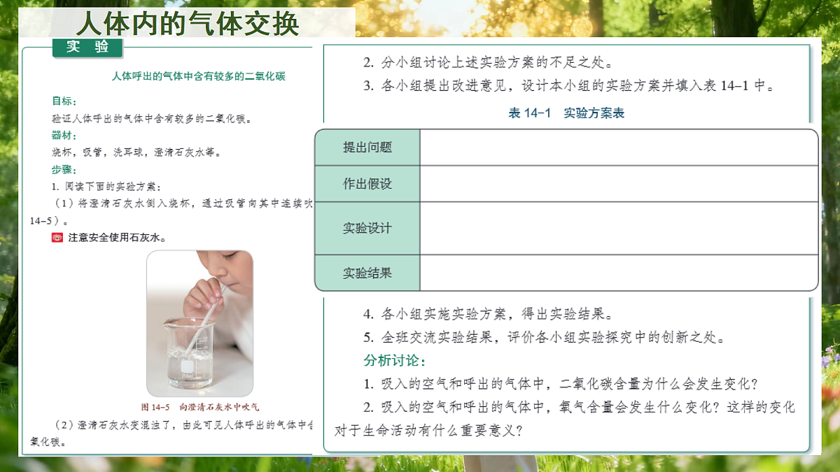18262482第3页
