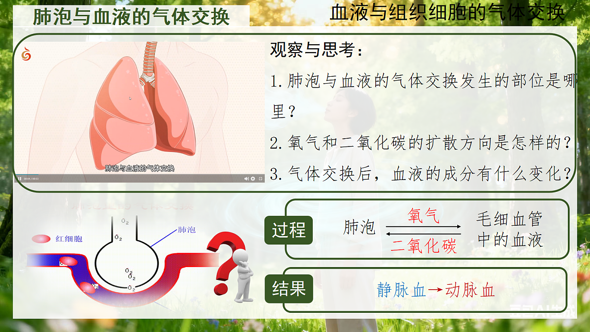 18262482第6页