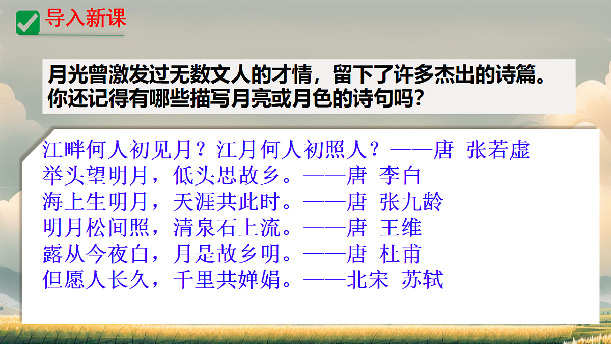 18262846第1页
