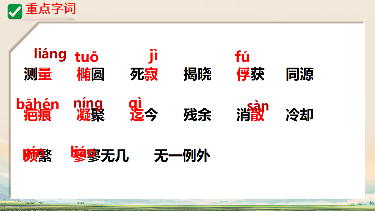 18262846第6页